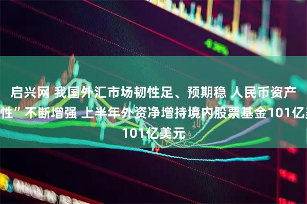 启兴网 我国外汇市场韧性足、预期稳 人民币资产“磁性”不断增强 上半年外资净增持境内股票基金101亿美元